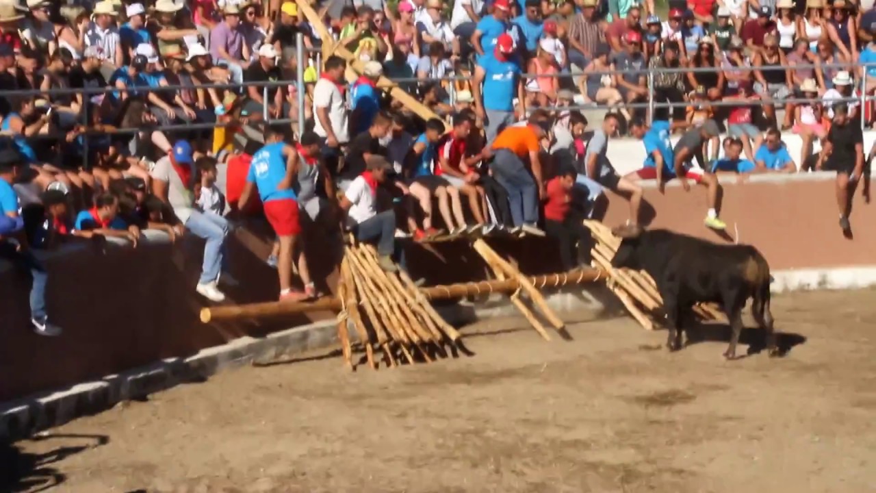 corrida vale de espinho 2017