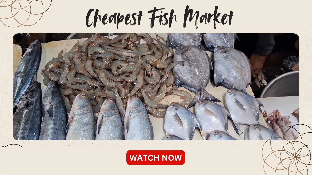 मुंबई का सबसे सस्ता फिश मार्केट | Cheapest and Wholesale Fish Market in Mumbai | Fresh Fish Market 🐟