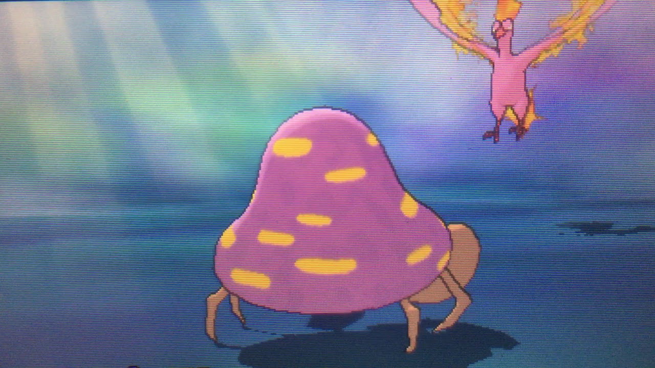 [🔴LIVE🔴] Shiny Moltres after 910 SRS! (Ultra Sun)