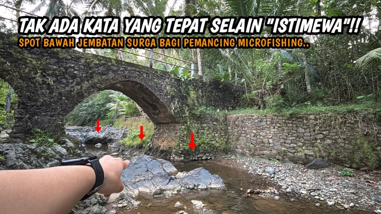 SURGA BAGI PEMANCING MICROFISHING!! Mancing wader teknik kumbul pakai umpan rasbora di pegunungan