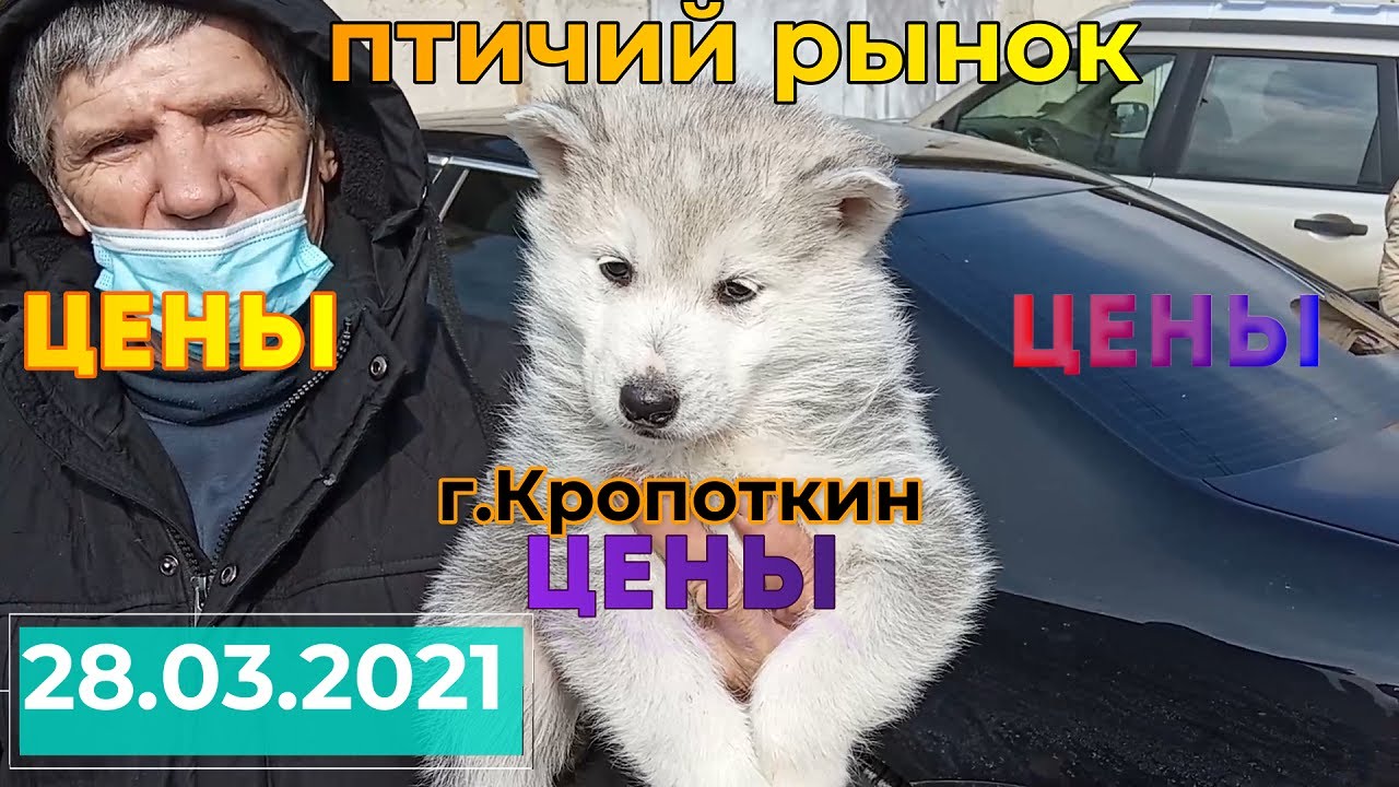 Птичий рынок г.Кропоткин  28.03.2021  цены, ценЫ, ЦЕНЫ. (часть1)