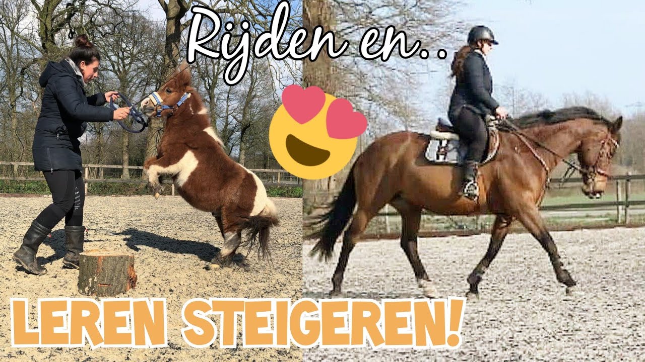STEIGEREN OP COMMANDO AANLEREN! || EQUITALITY & CAVALLUNA
