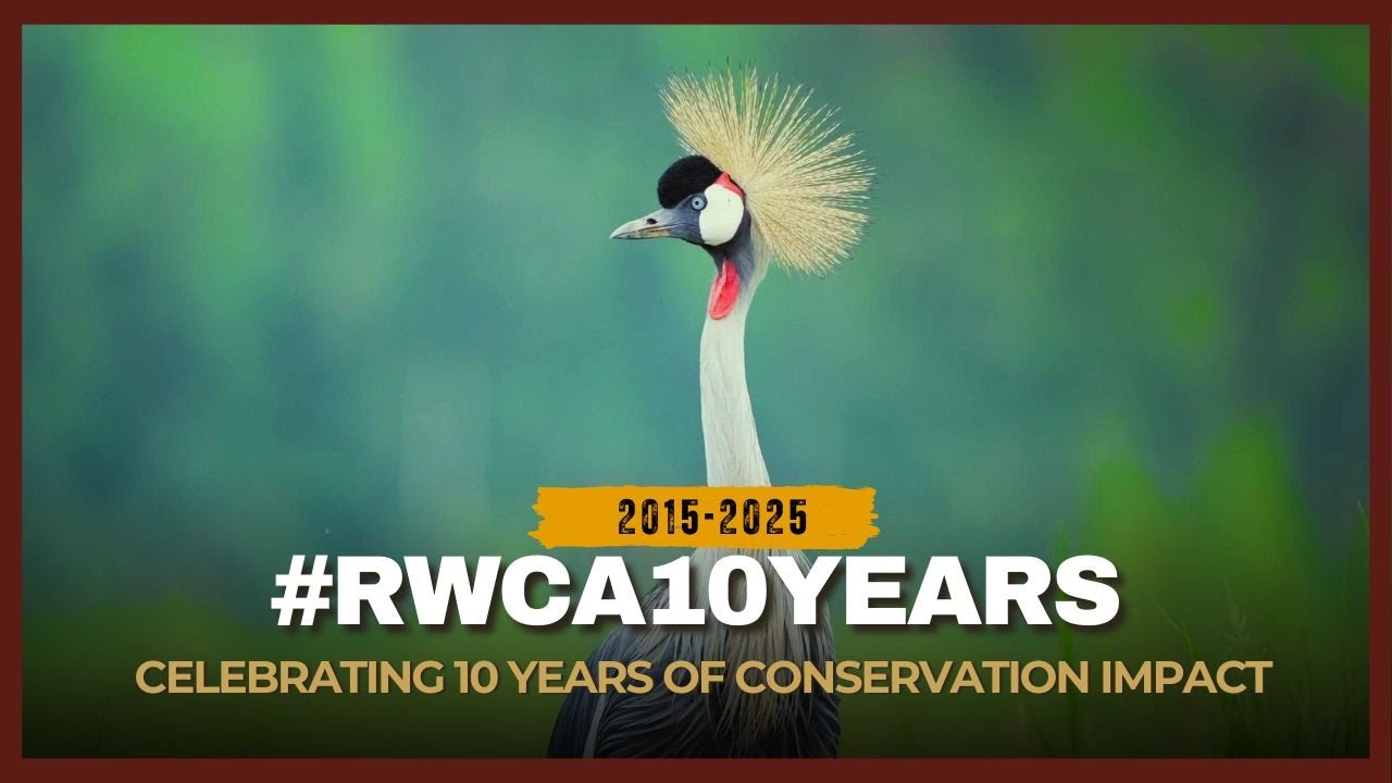 CELEBRATING 10 YEARS OF CONSERVATION IMPACT