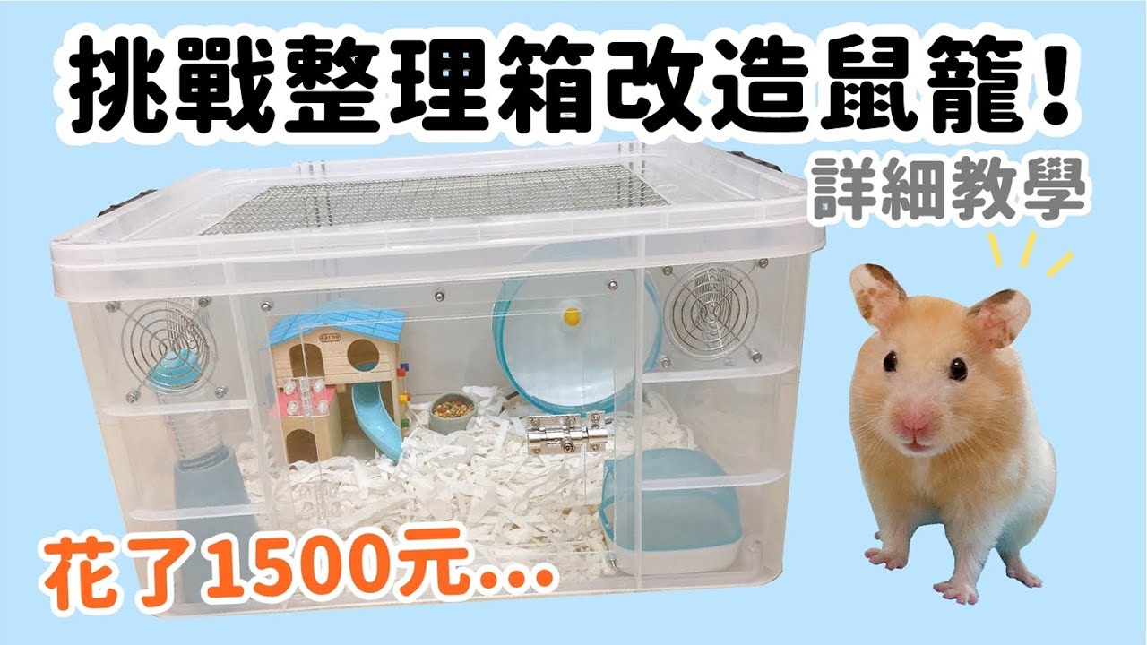 挑戰整理箱改造鼠籠！花了1500元...詳細小教學 DIY