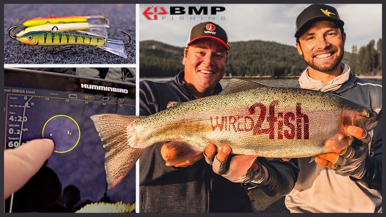 How to Catch BIG Trout Using Jigs and MEGA Live Imaging