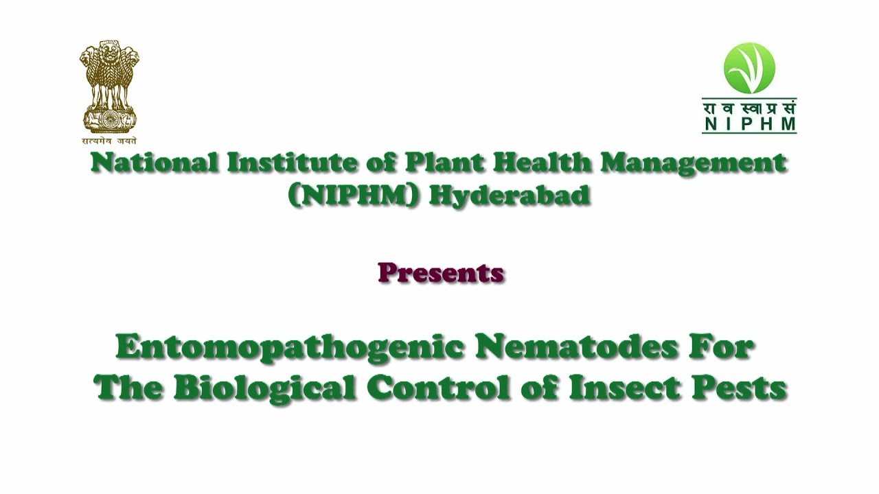 Entomopathogenic Nematodes for the Biological Control of Insect Pests - NIPHM, Hyderabad