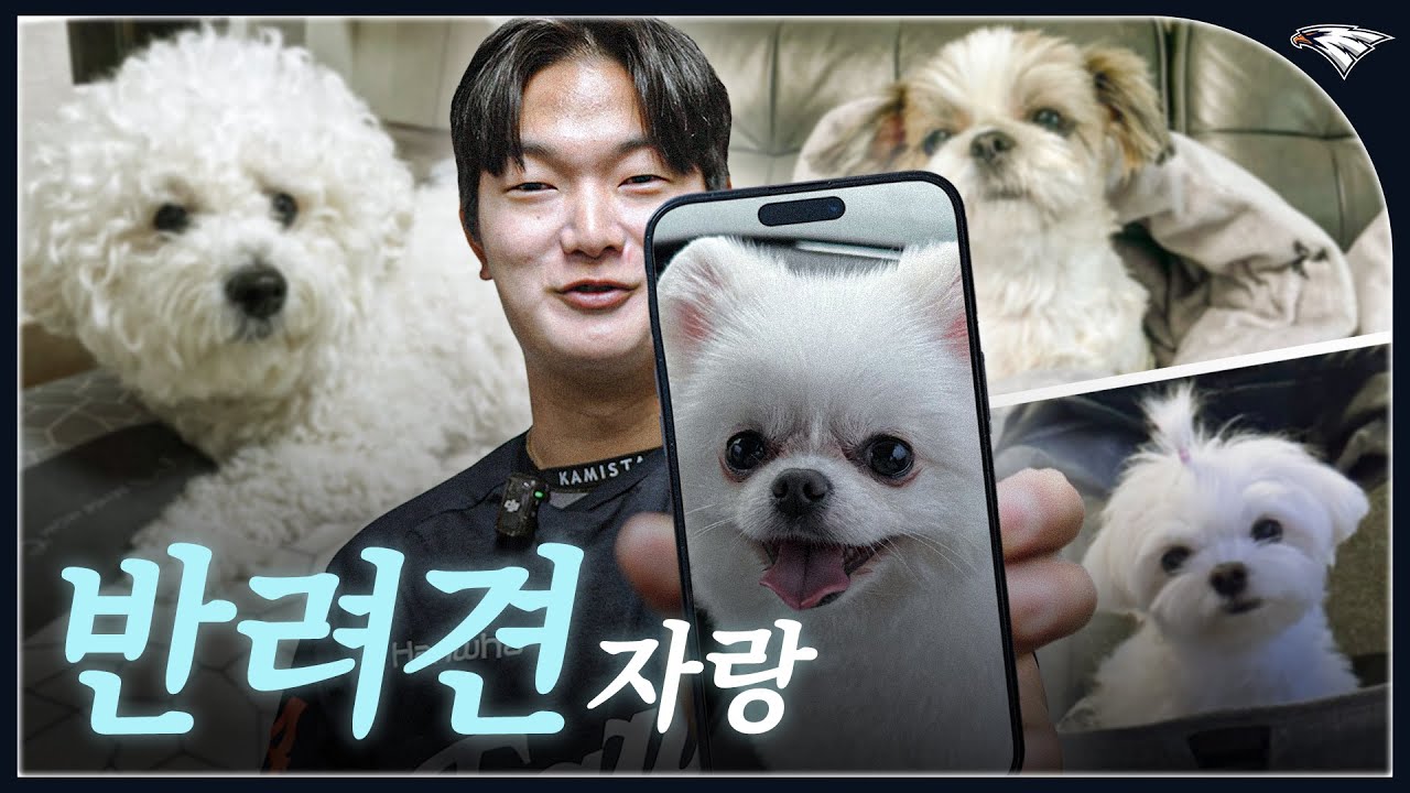 야구선수 반려견 총출동🐾 한화이글스 선수들의 반려견을 소개합니다!