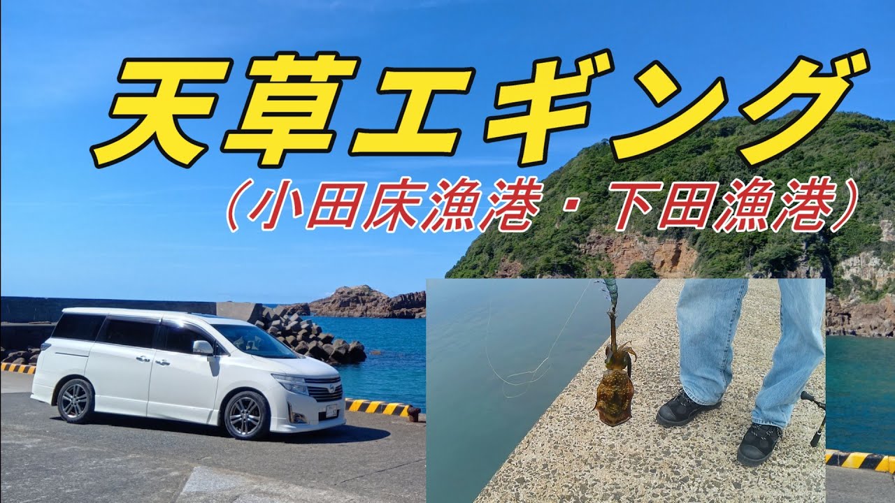 天草エギング　（小田床漁港・下田漁港）でエギングしてきた。