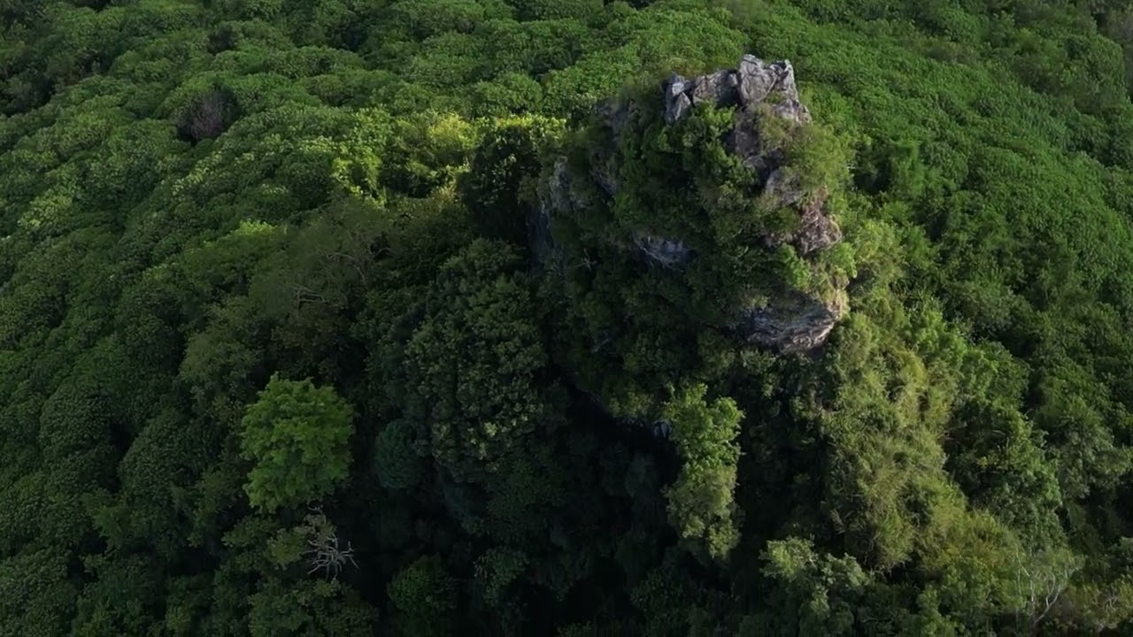 BUKIT KEMUNING, SUNGAI SIPUT, PERAK.