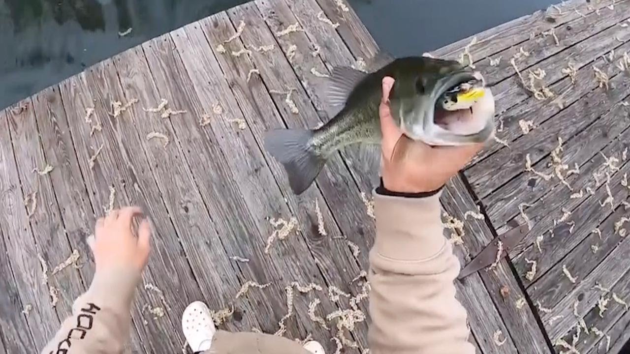 Fish Bite Irresistible Frog Bait Instantly