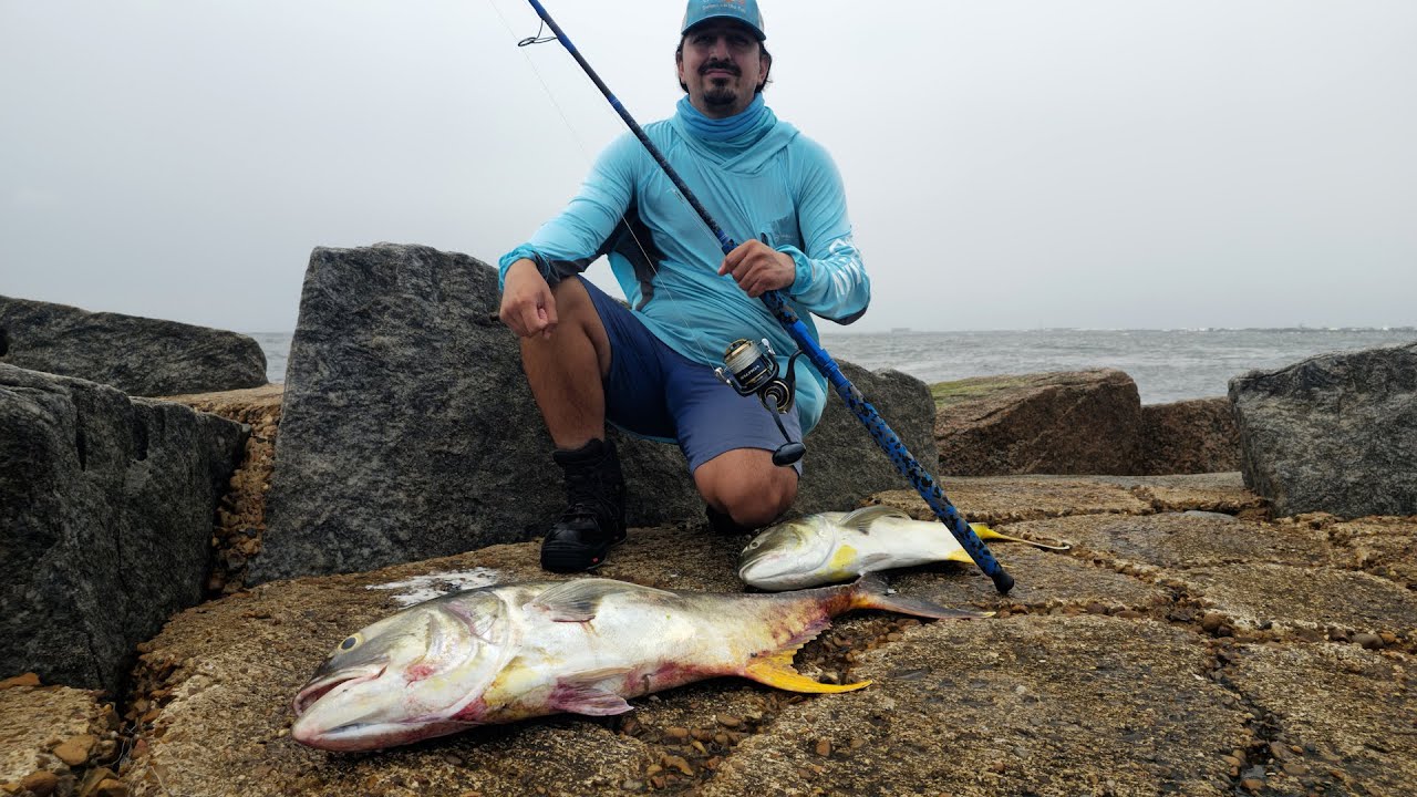 The JACKS are BACK! Texas Jetty Fishing Surfside? Freeport?  Mansfield? Port A?