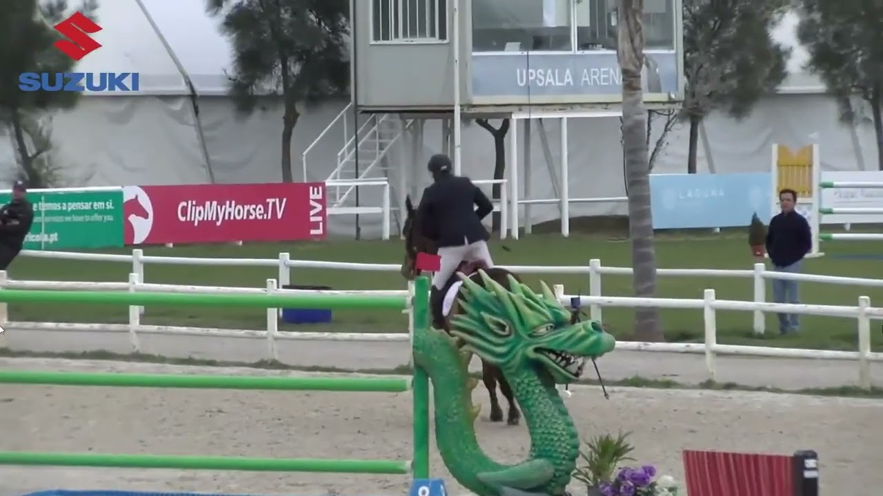 Young Horse Vilamoura GP - John Whitaker & Unick du Francport (Zandor Z x Helios de La Cour II)