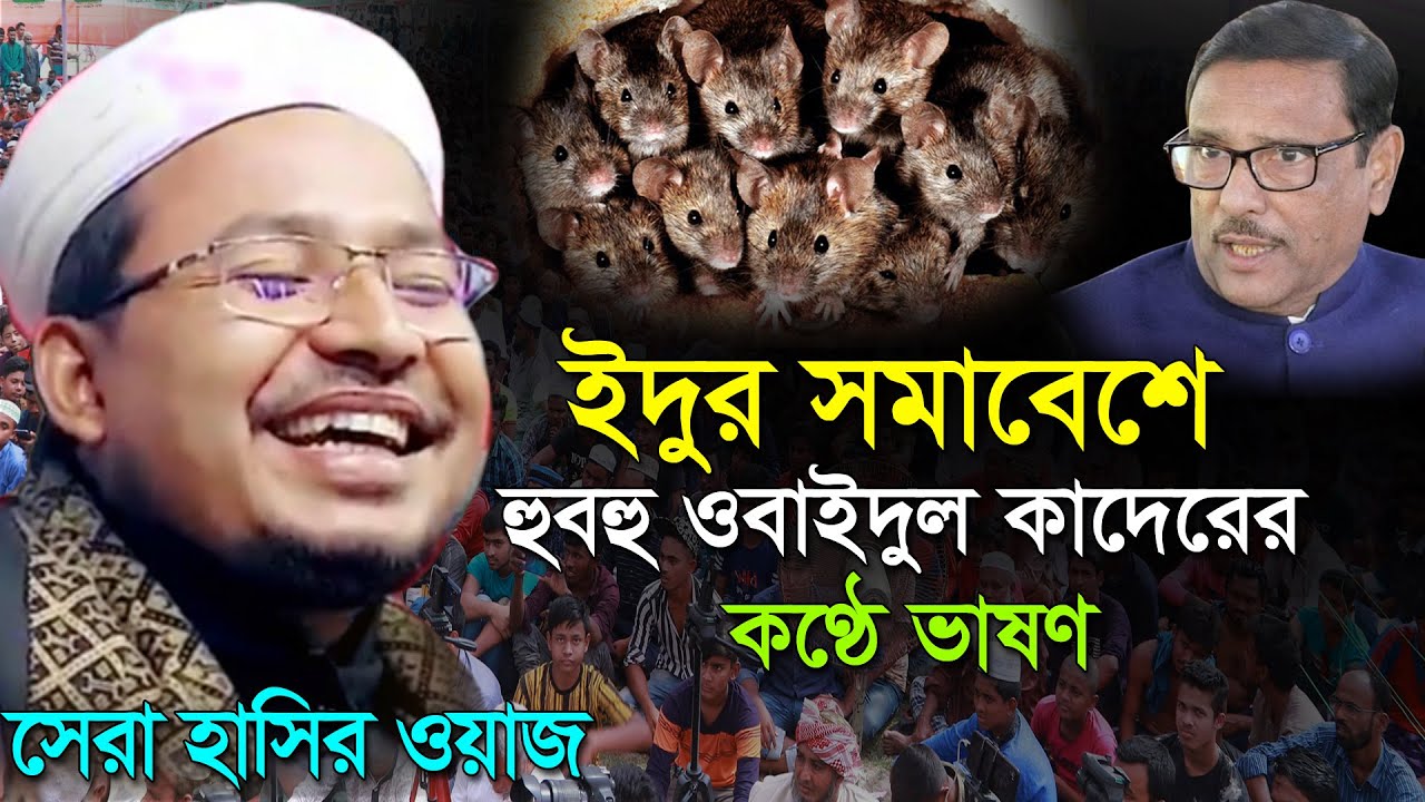 ওবাইদুল কাদেরের কণ্ঠে ইদুর সমাবেশে ভাষণ। কবির বিন সামাদের সেরা হসির ওয়াজ। Kobir Bin Samad Funny Waz