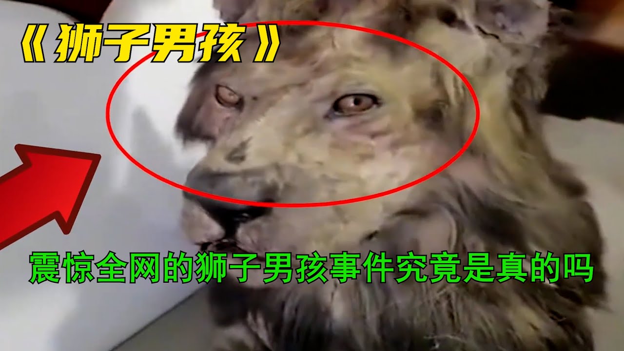 震驚全網的獅子男孩是真的嗎？以及山上發現渡渡鳥和食海者的恐怖傳說事件！
