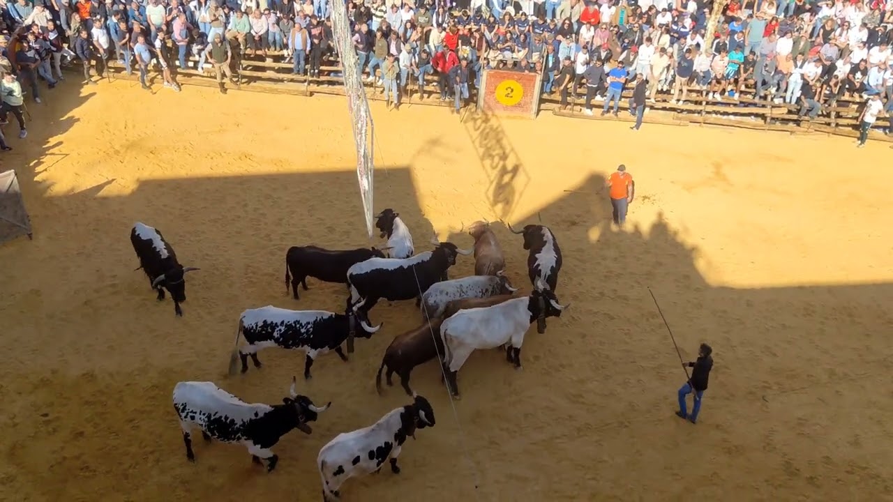 La Peza, encierro 11/10/2025