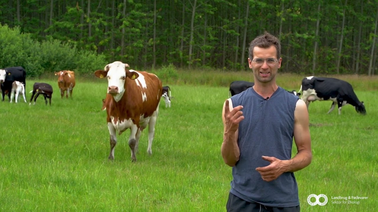 Velkommen til Rudholm Økologi 🐮