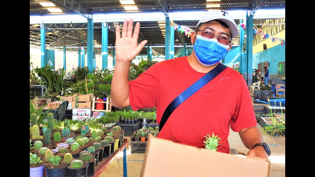 Mercado de plantas en Tenango de las Flores 2021