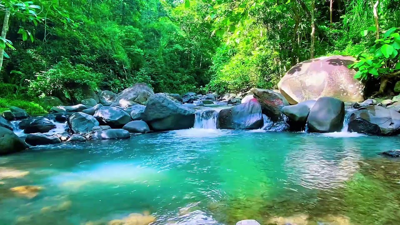 Flowing Water Stream Audio, Mountain River, Forest Sleep