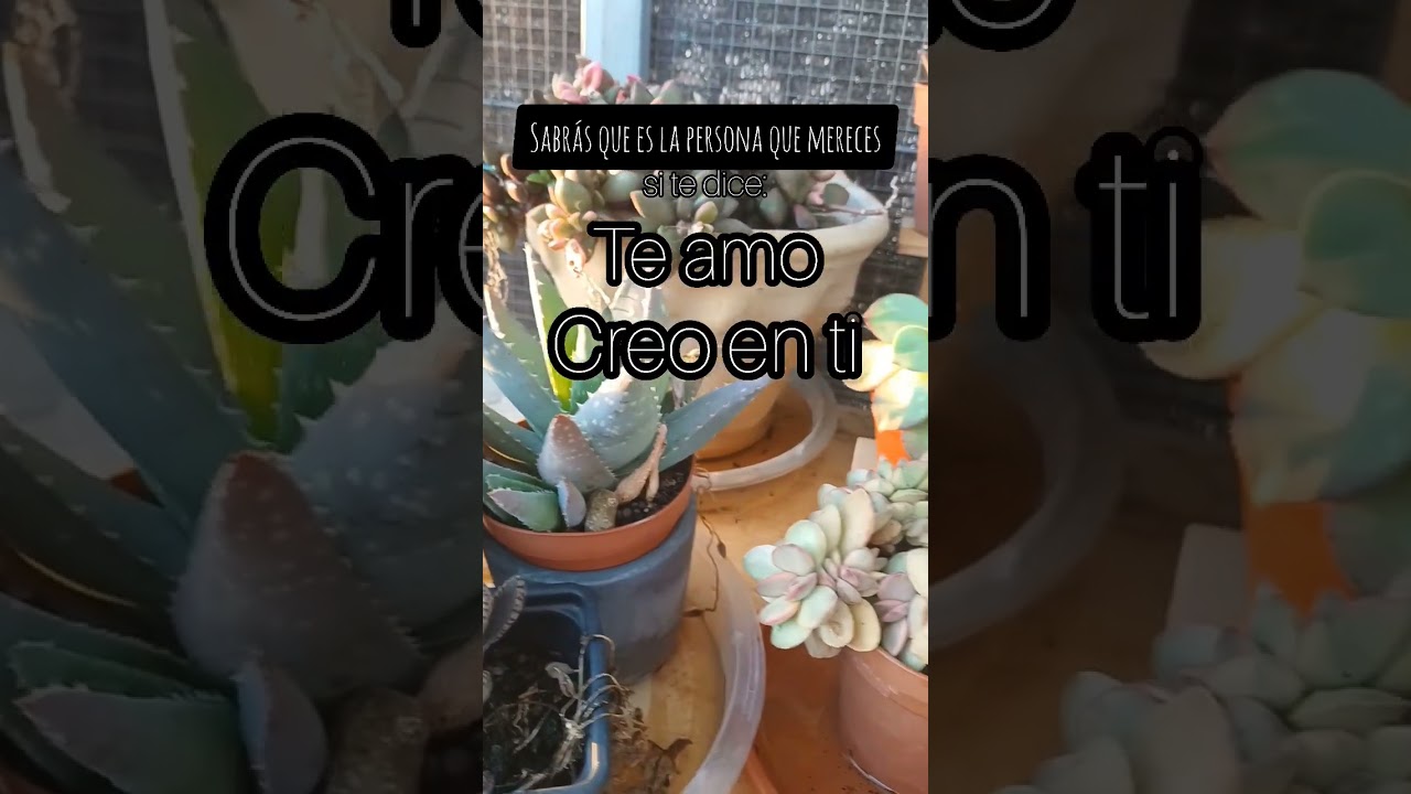 😬#aunasiteamomoni🫰#laquemerezcoesamimoni #humorplantil #plants #funnyplants #plantlover #lapersona