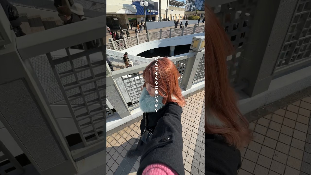 世界一高い東京ディズニーVIPツアー〈質問答えます〉