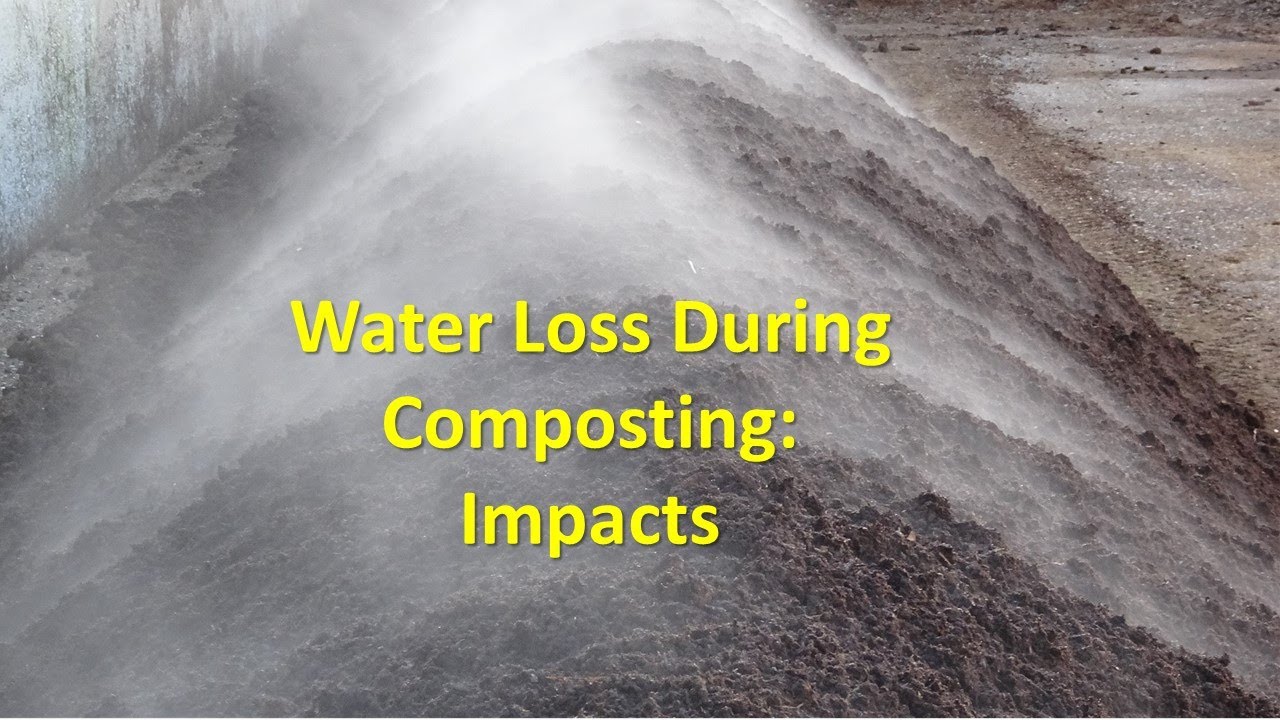 Water Loss During Composting   Impacts