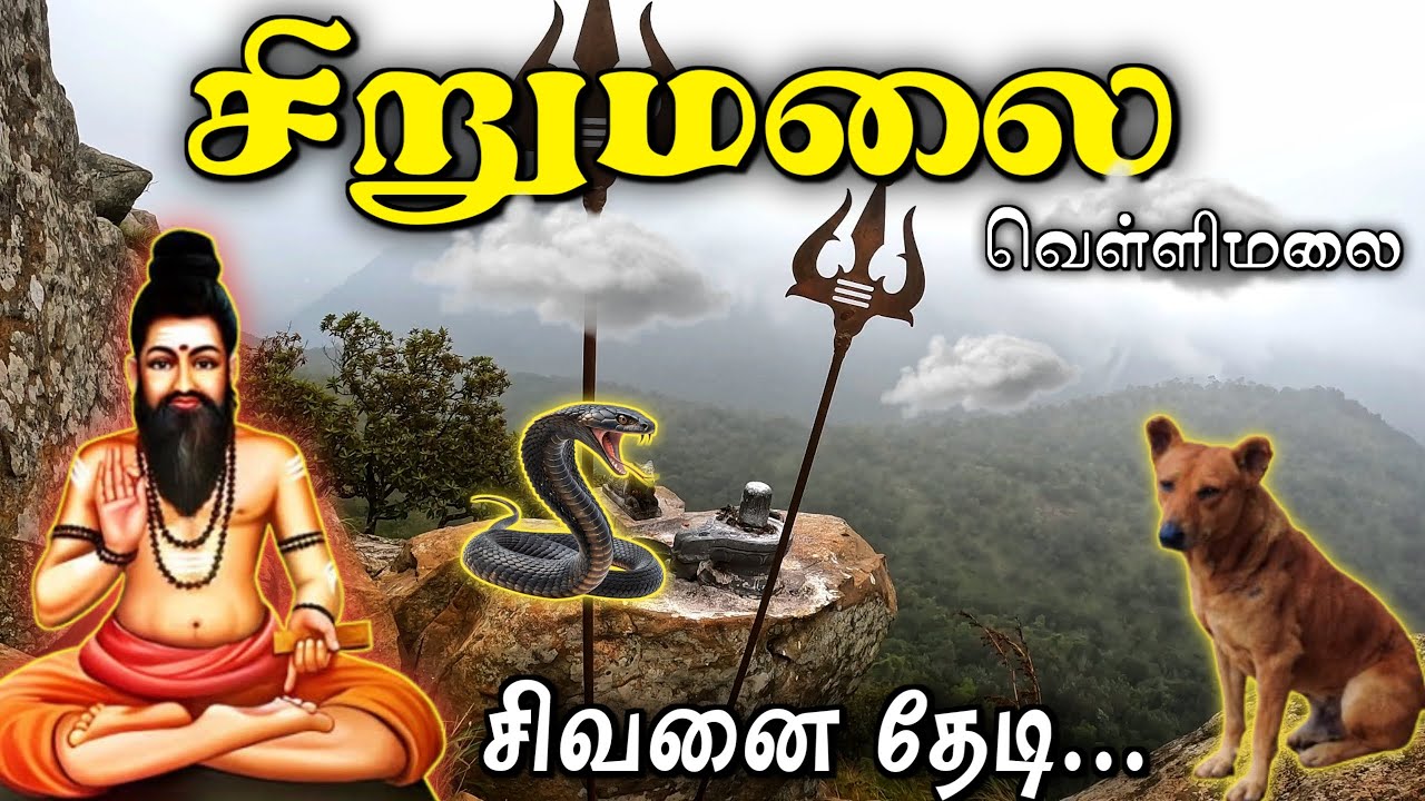 😱நாய்கள் ரூபத்தில் சித்தர்கள் காக்கும் சிவன்🕉️ Vellimalai Sivan Temple 👑 வெள்ளிமலை சிவன் கோயில்