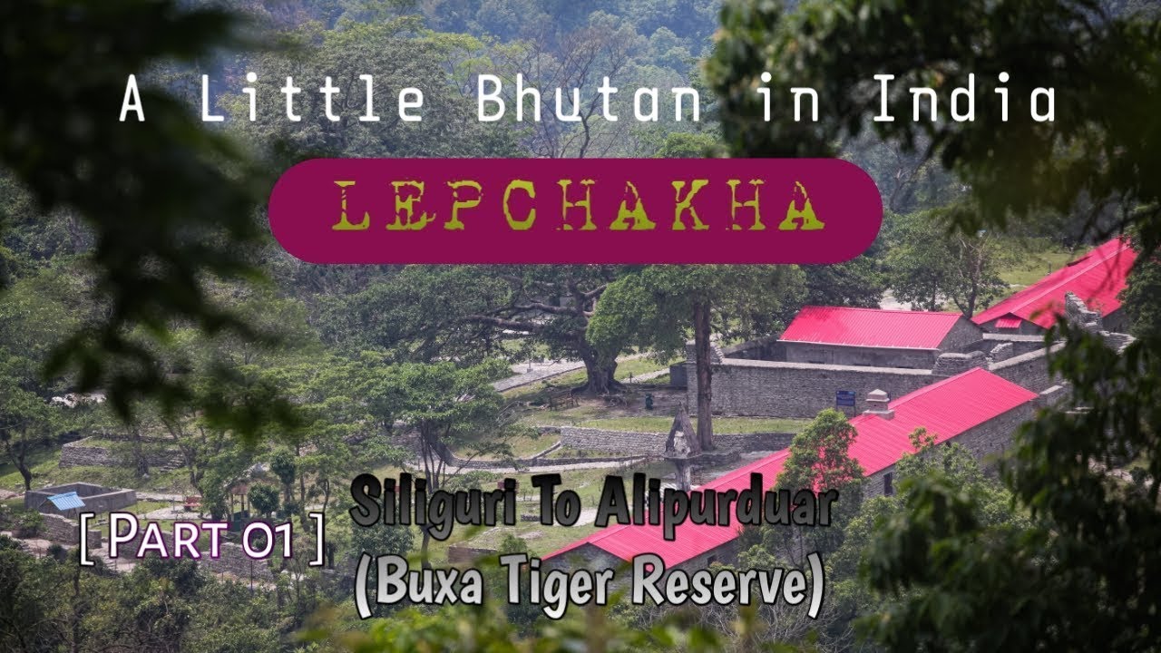 Lepchakha Dooars | Siliguri To Alipurduar | Vista Dom Train