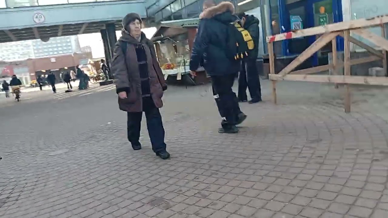 Деревня Купчино 