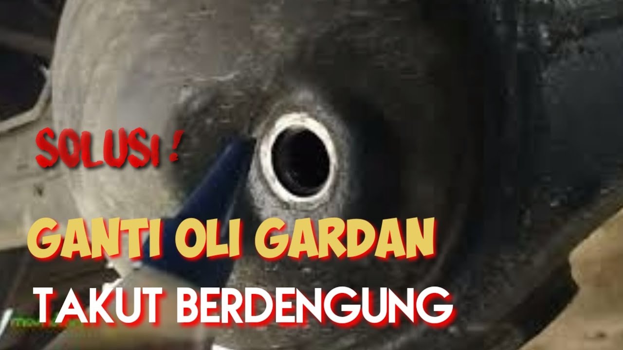 Mau Ganti Oli Gardan tapi Takut Berdengung Setelah Ganti, Ini Solusinya!