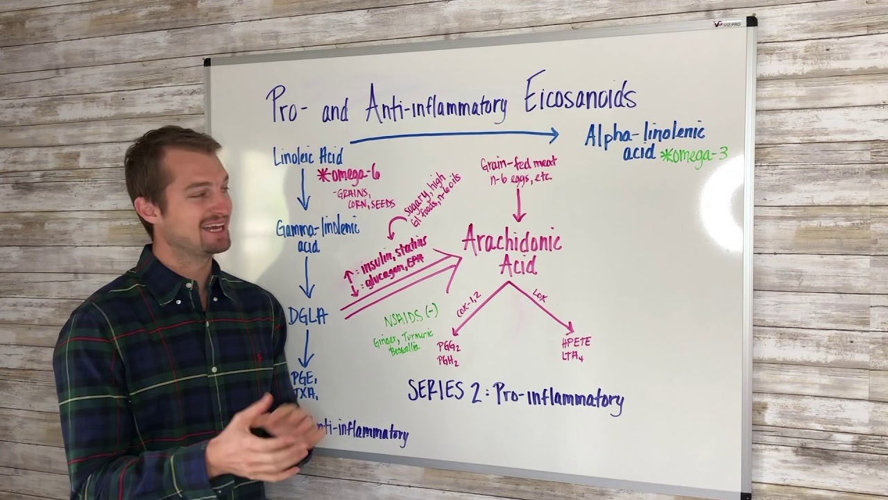 Anti inflammatory diet - science of how it works
