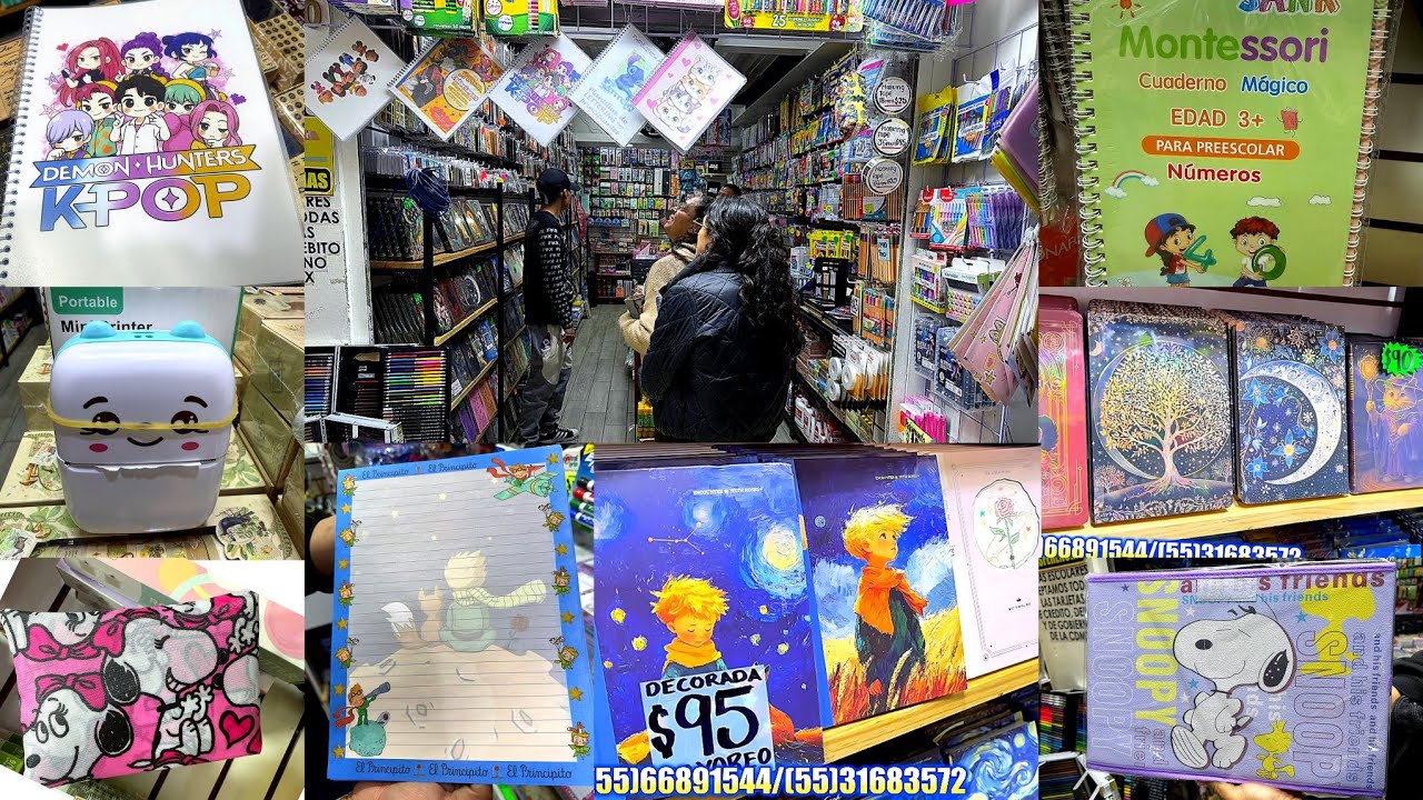 Papeleria en MESONES | Material para LETTERING ¡PRECIO DE MAYOREO! Libretas, Stickers, Plumones, 