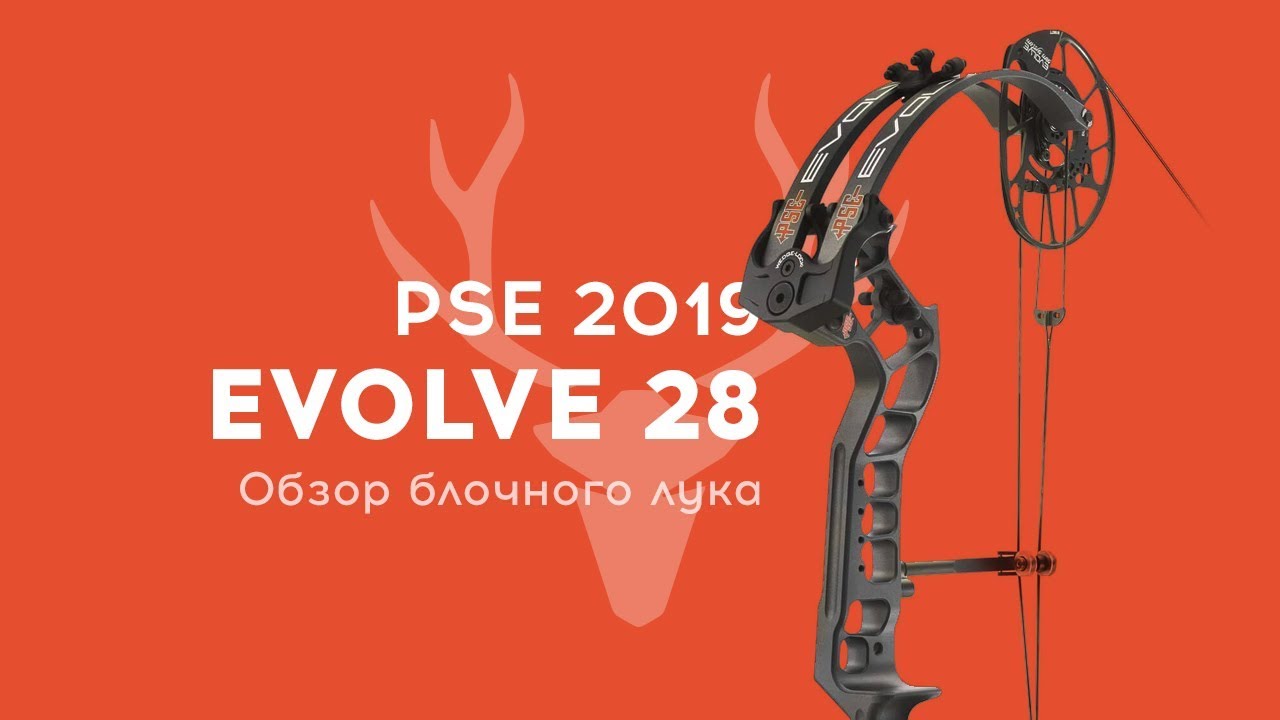 Обзор PSE Evolve 28 (2019)