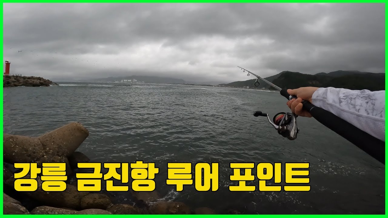 강릉금진항 루어포인트
