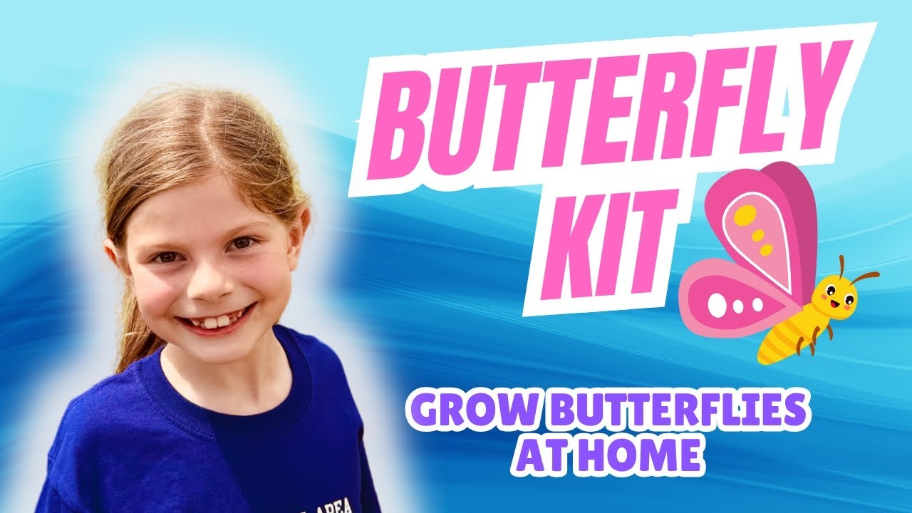Insect Lore Butterfly Garden Kit