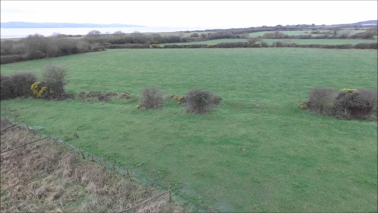 Wirral Gundogs: Long Retrieve