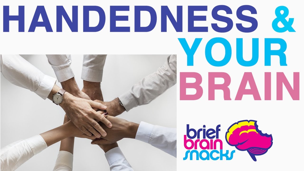 Hand preference and the brain