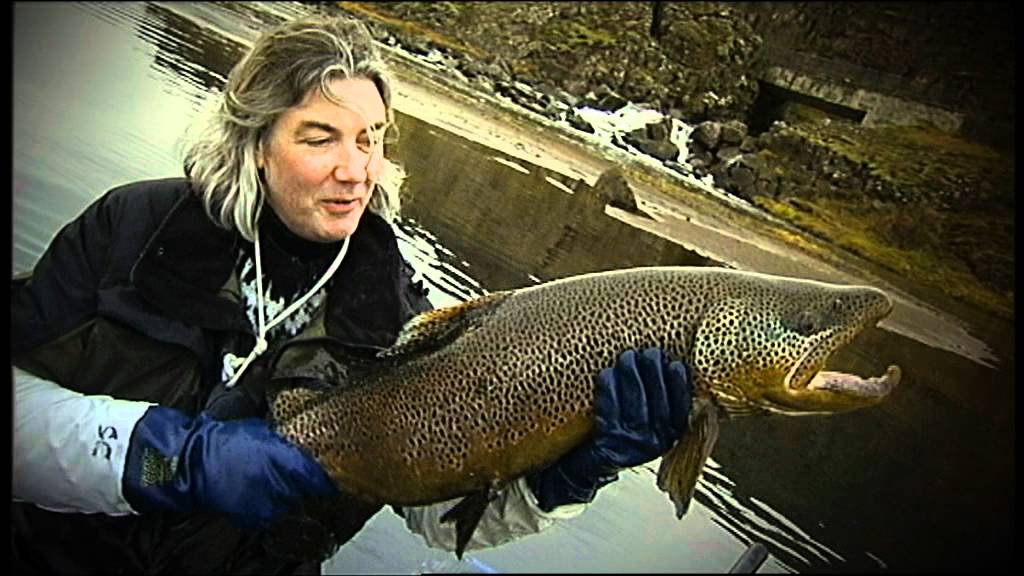 Urri&eth;i &iacute; &Ouml;xar&aacute; - Ranns&oacute;knir Laxfiska &aacute; &THORN;ingvallaurri&eth;a - Brown trout in Lake Thingvallavatn