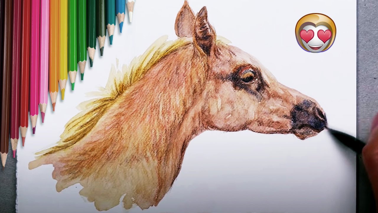 LE CRAYON AQUARELLABLE - TECHNIQUE DÉBUTANT