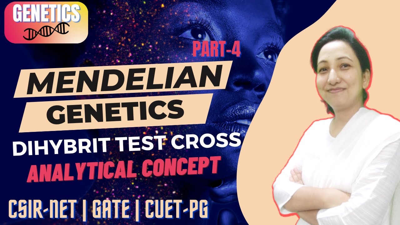 Mendelian Genetics CSIR NET -4 | Dihybrid Test Cross