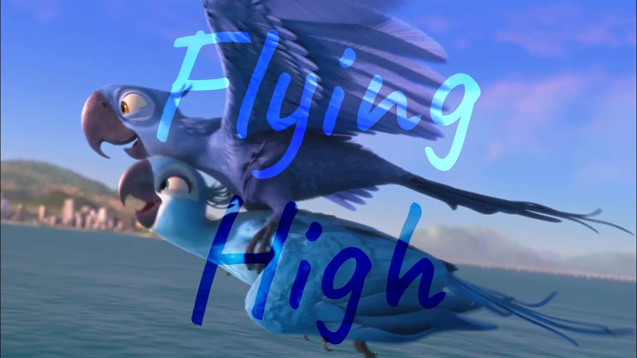 Flying High | Rio AMV
