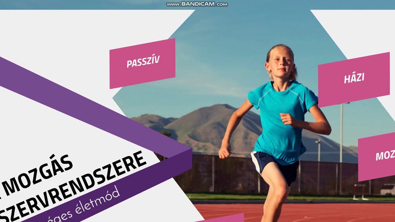 Mozg&aacute;s szervrendszere