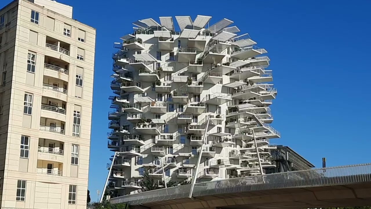 Découvrir la ville de Montpellier et sa vie étudiante dynamique