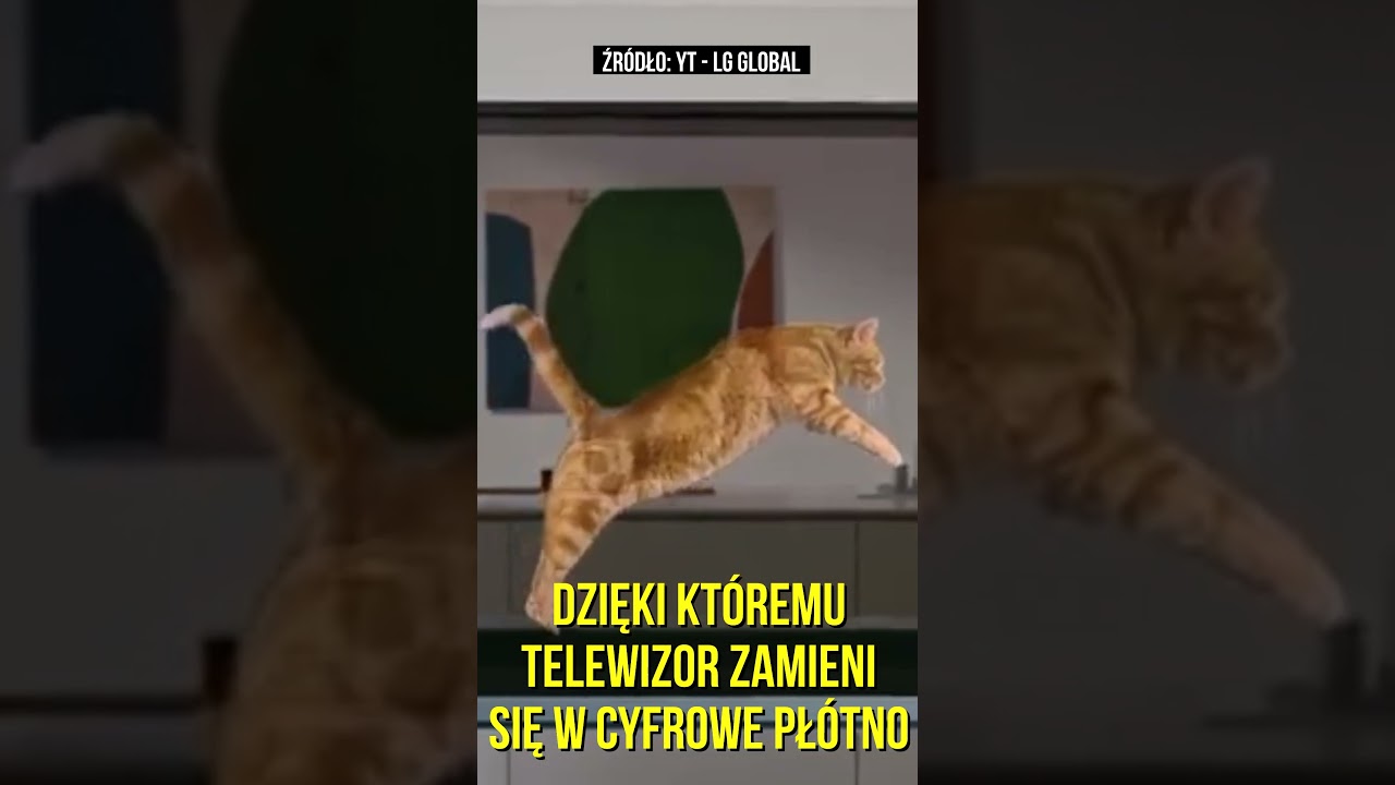 Przezroczysty telewizor już w sprzedaży. CENA POWALA