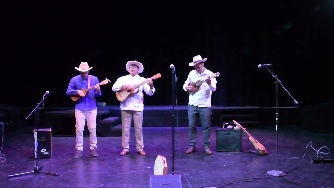Son de Madera Concert UNO