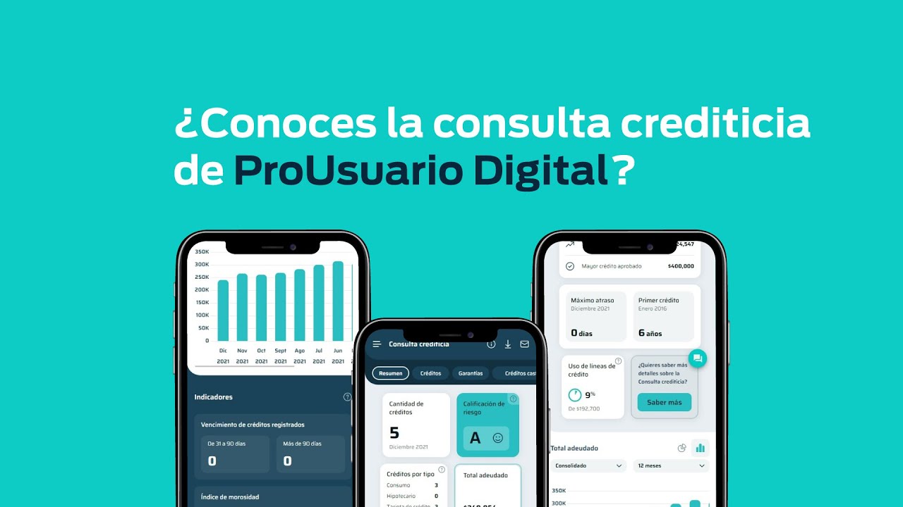 ¿Conoces la consulta crediticia de ProUsuario Digital?