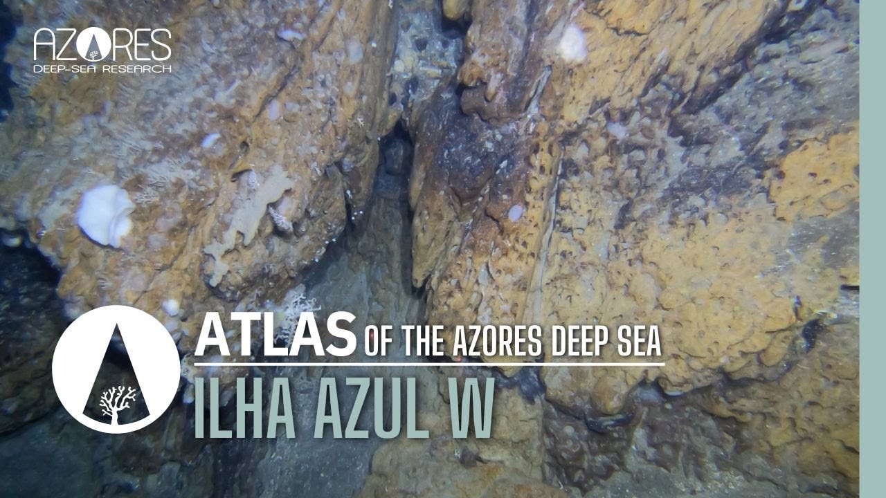 Ilha azul W seamount | ATLAS of the Azores deep sea