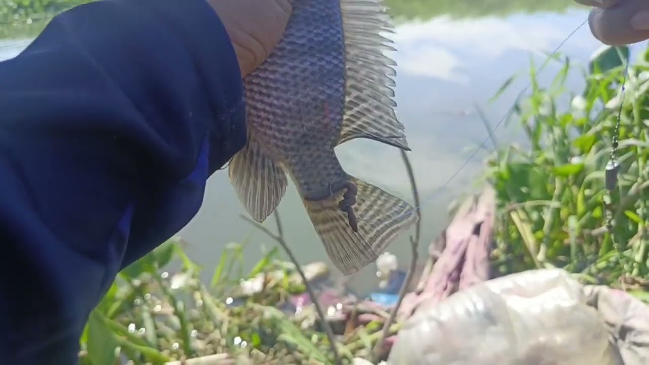 MAY NAHUHULI NA SA WONDER ILOG WAWA ANGONO RIZAL.🎣🎣🎣