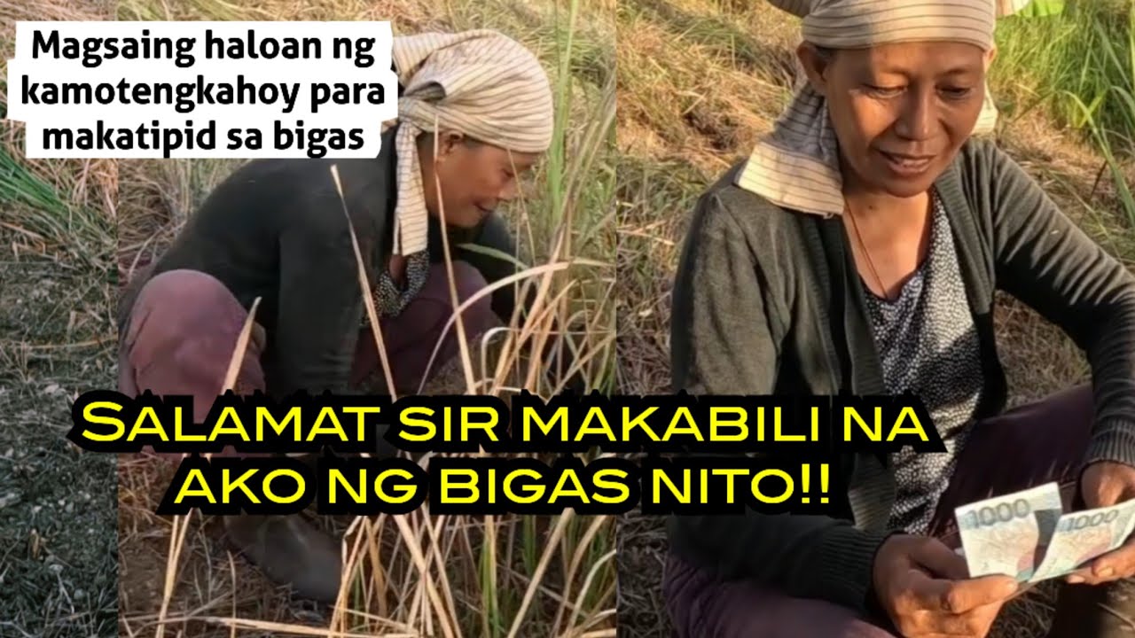 Magsaing haloan ng kamotengkahoy para makatipid sa bigas story ni ate panoorin ll Rene OC