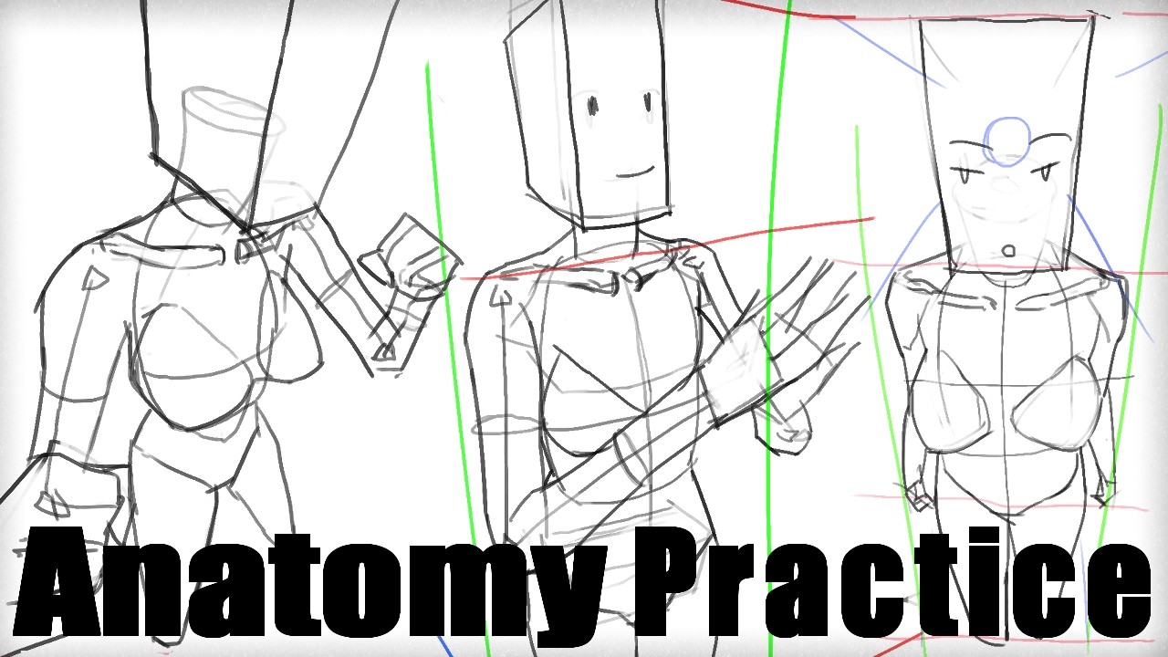 anatomy sketching