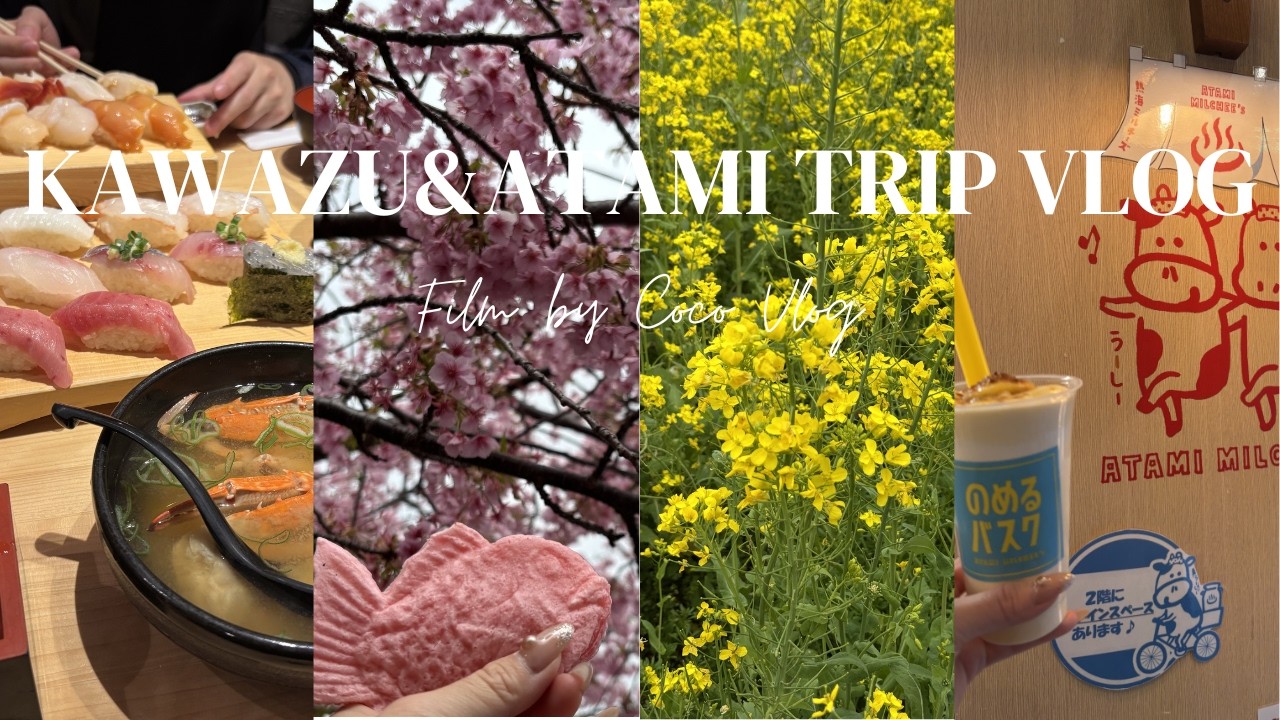 🌸桜鑑賞と美味しいご飯を楽しむご自愛日帰り旅 | Kawazu and Atami 1day trip🌸